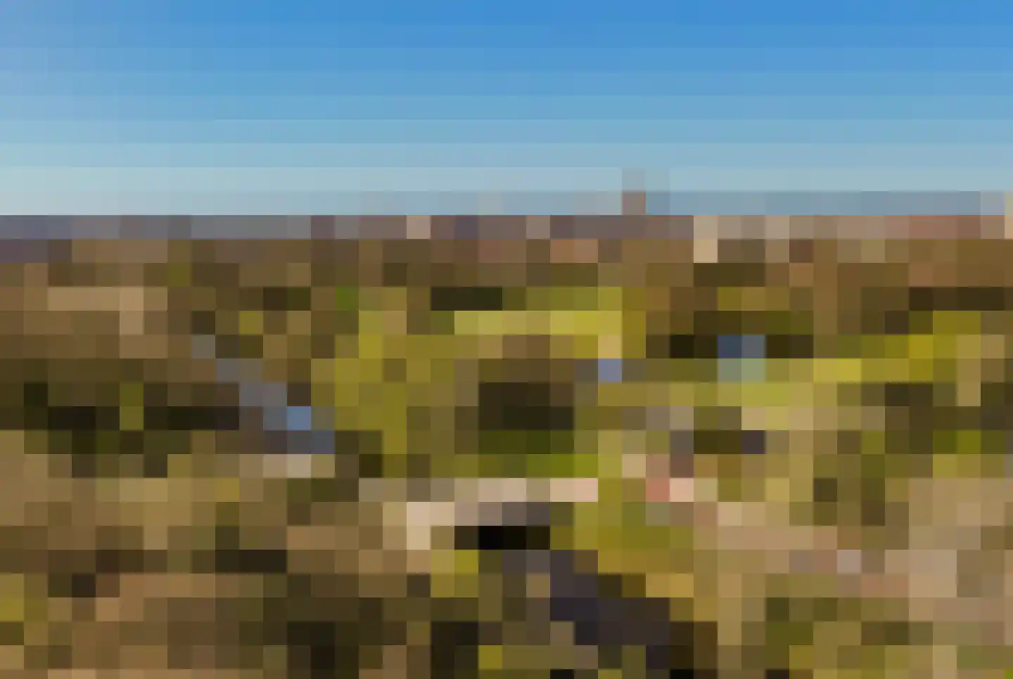 Nieuwe Parklaan 75 Den Haag thumbnail 101
