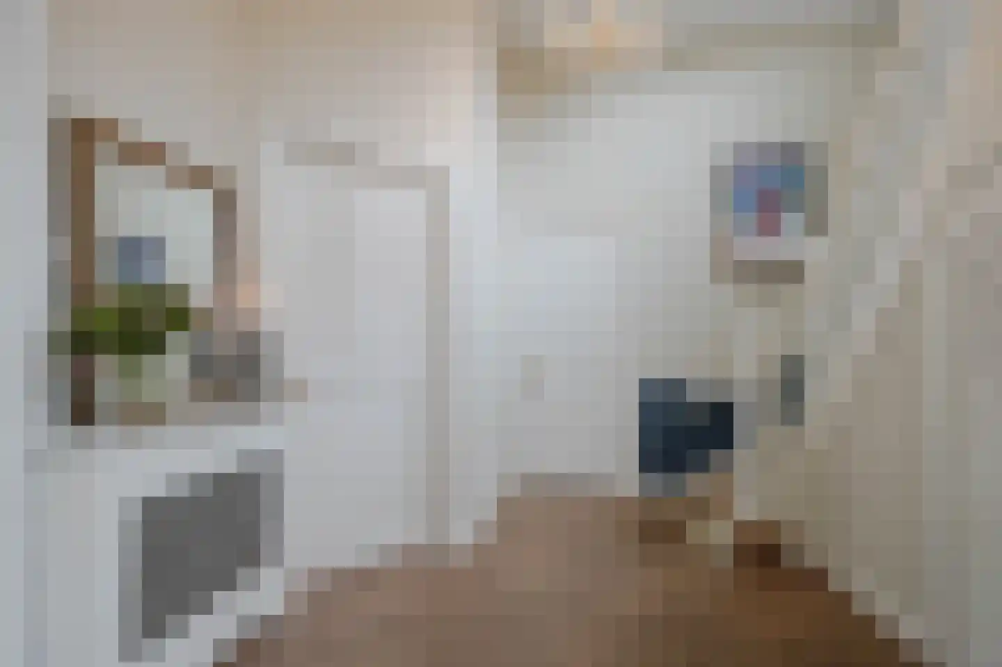 Nieuwe Parklaan 75 Den Haag thumbnail 12