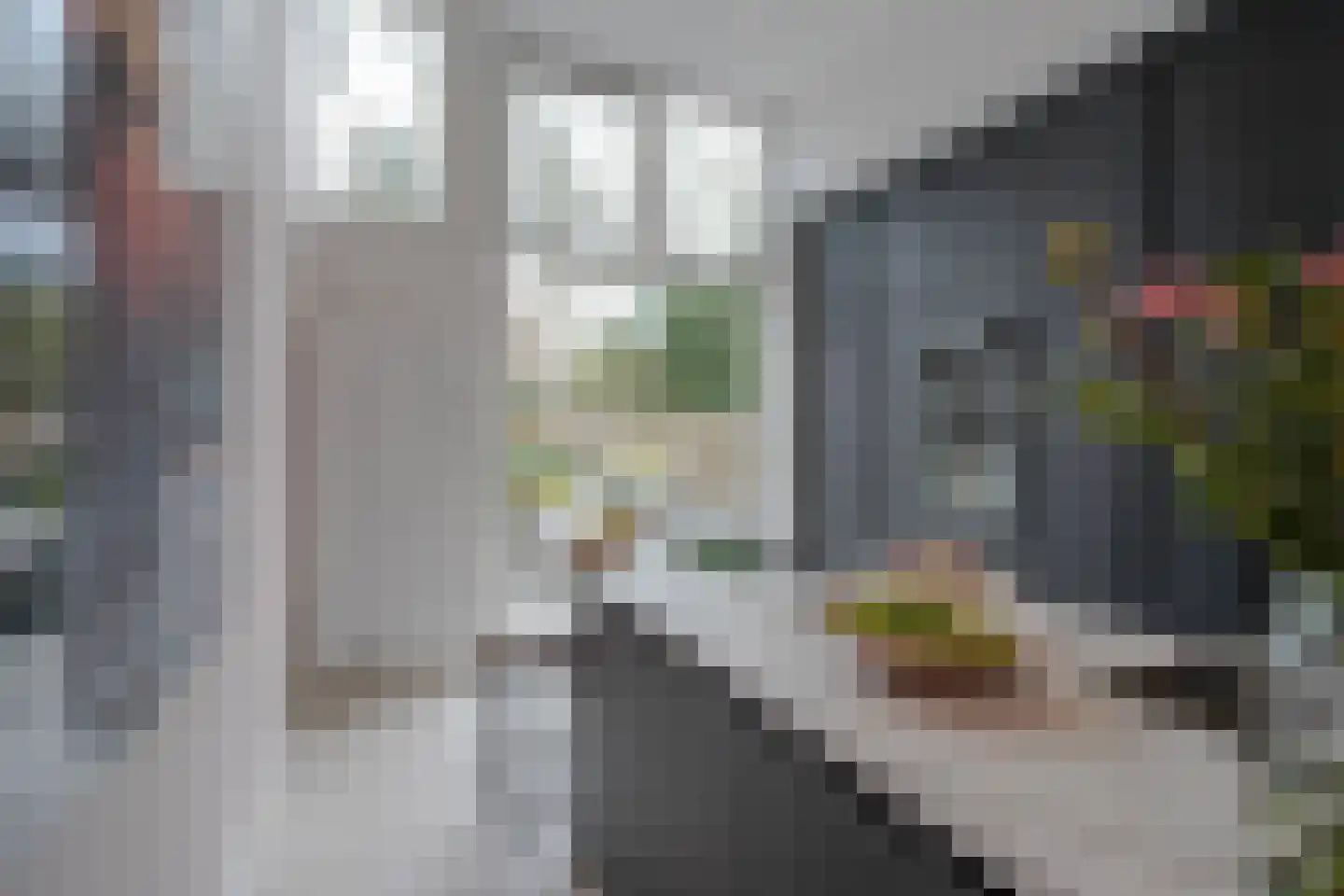 Nieuwe Parklaan 75 Den Haag thumbnail 20