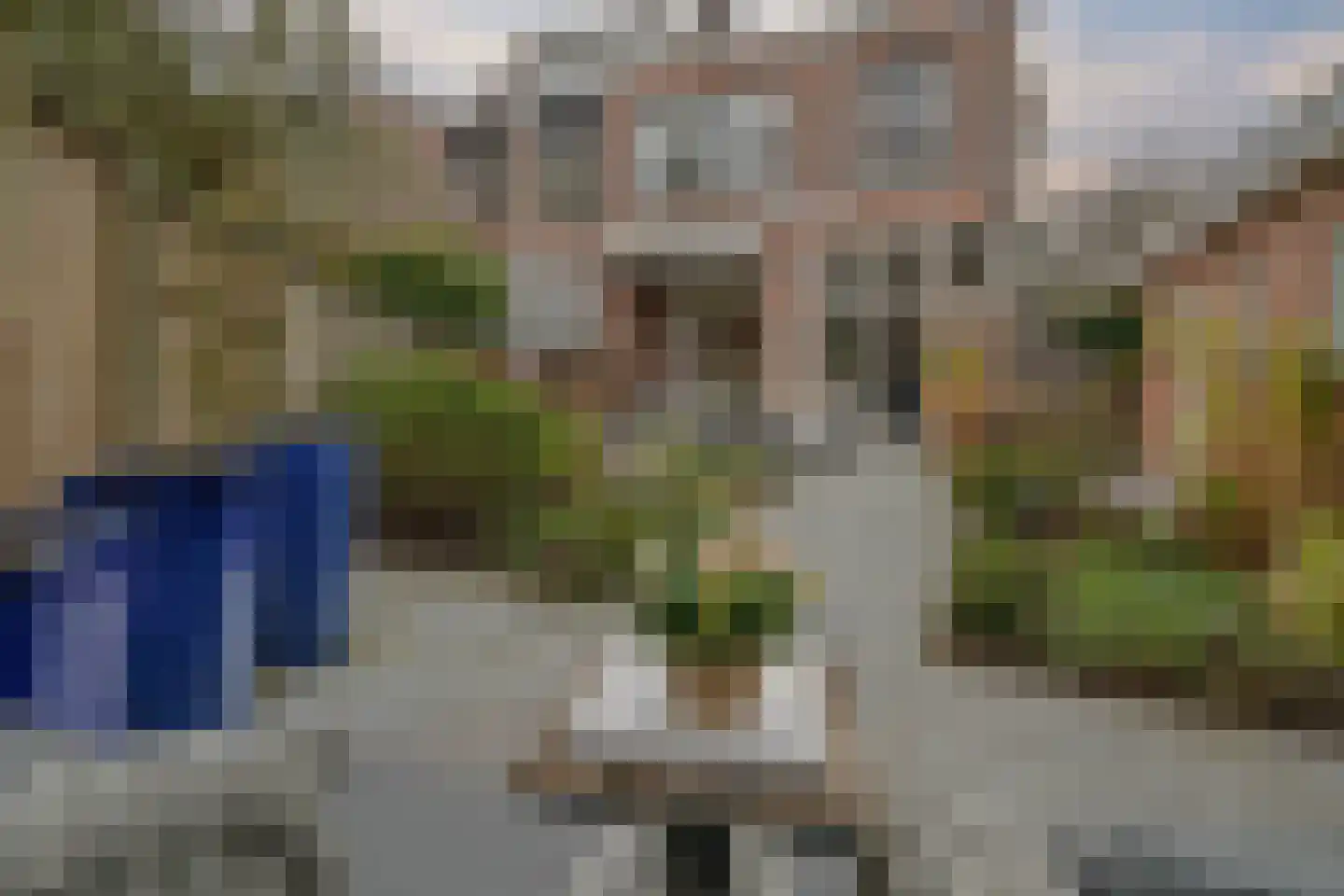 Nieuwe Parklaan 75 Den Haag thumbnail 27