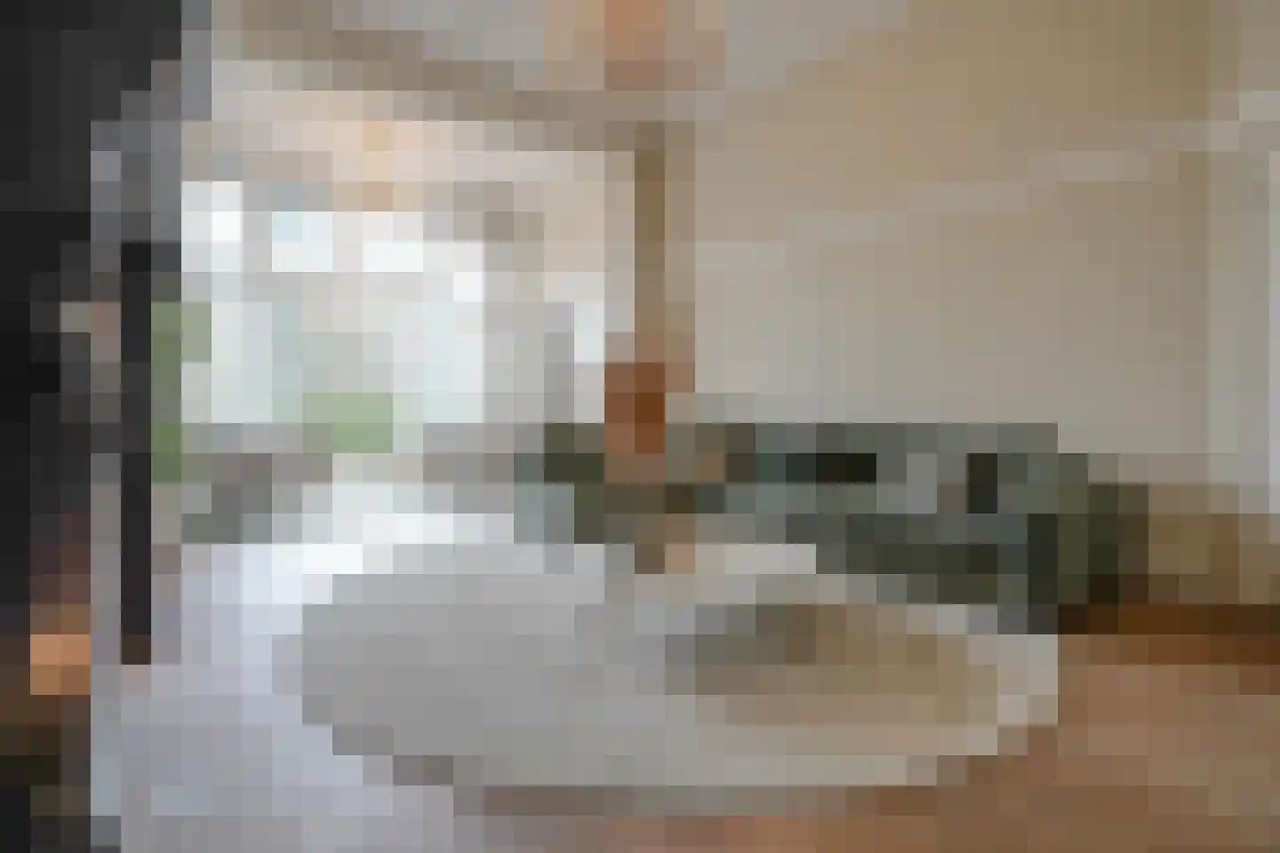 Nieuwe Parklaan 75 Den Haag thumbnail 39