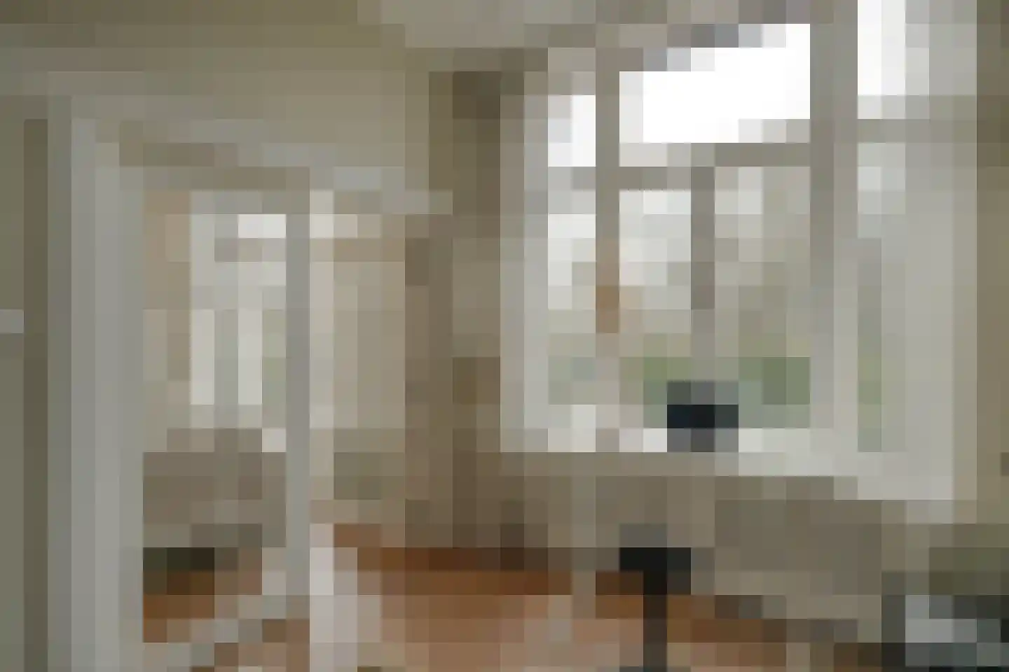 Nieuwe Parklaan 75 Den Haag thumbnail 45