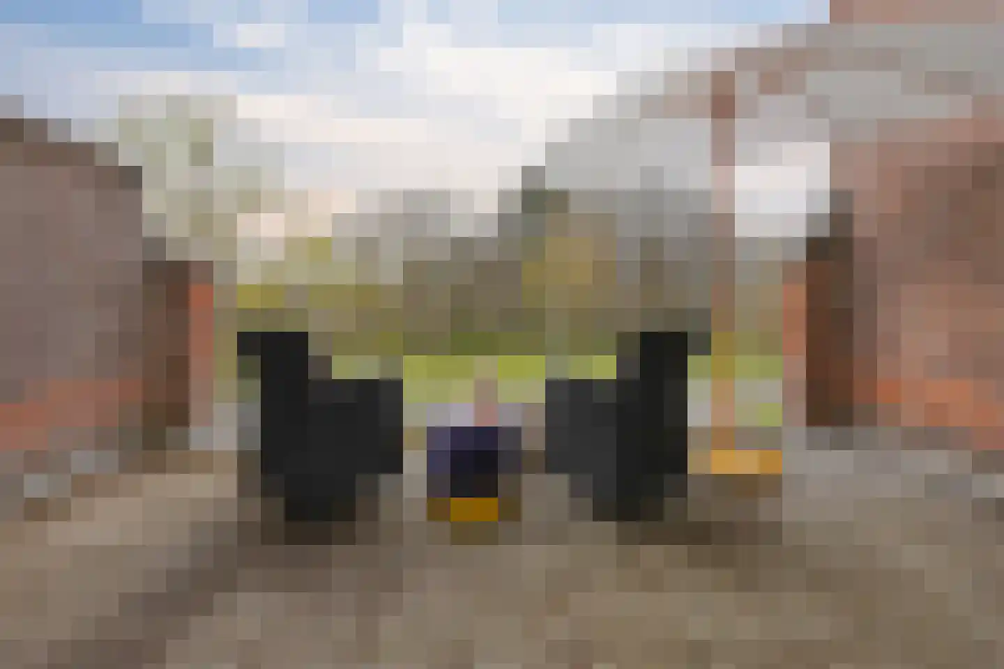 Nieuwe Parklaan 75 Den Haag thumbnail 72