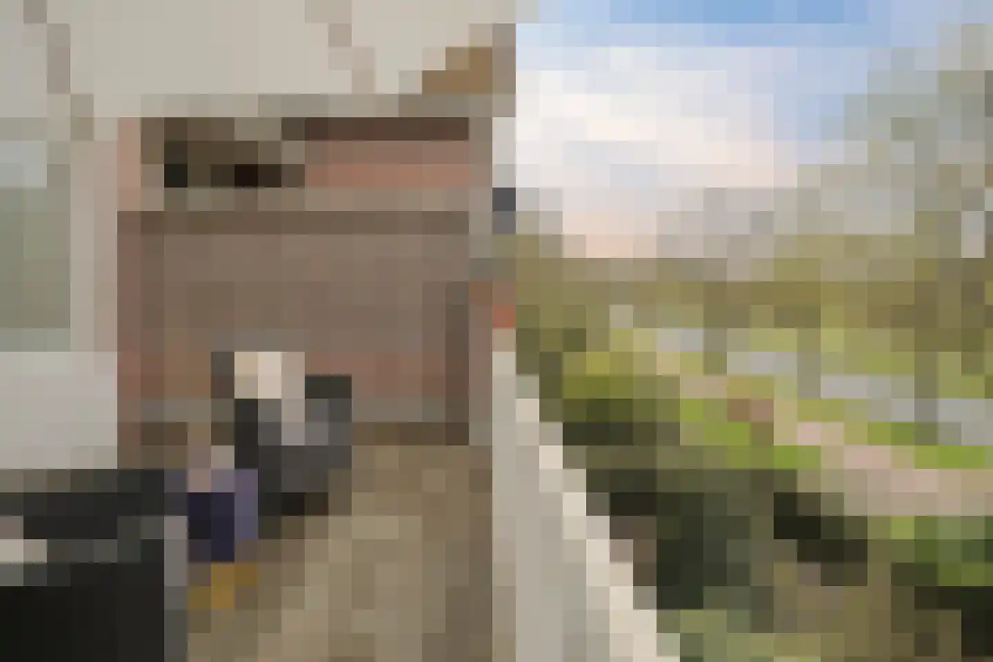 Nieuwe Parklaan 75 Den Haag thumbnail 79