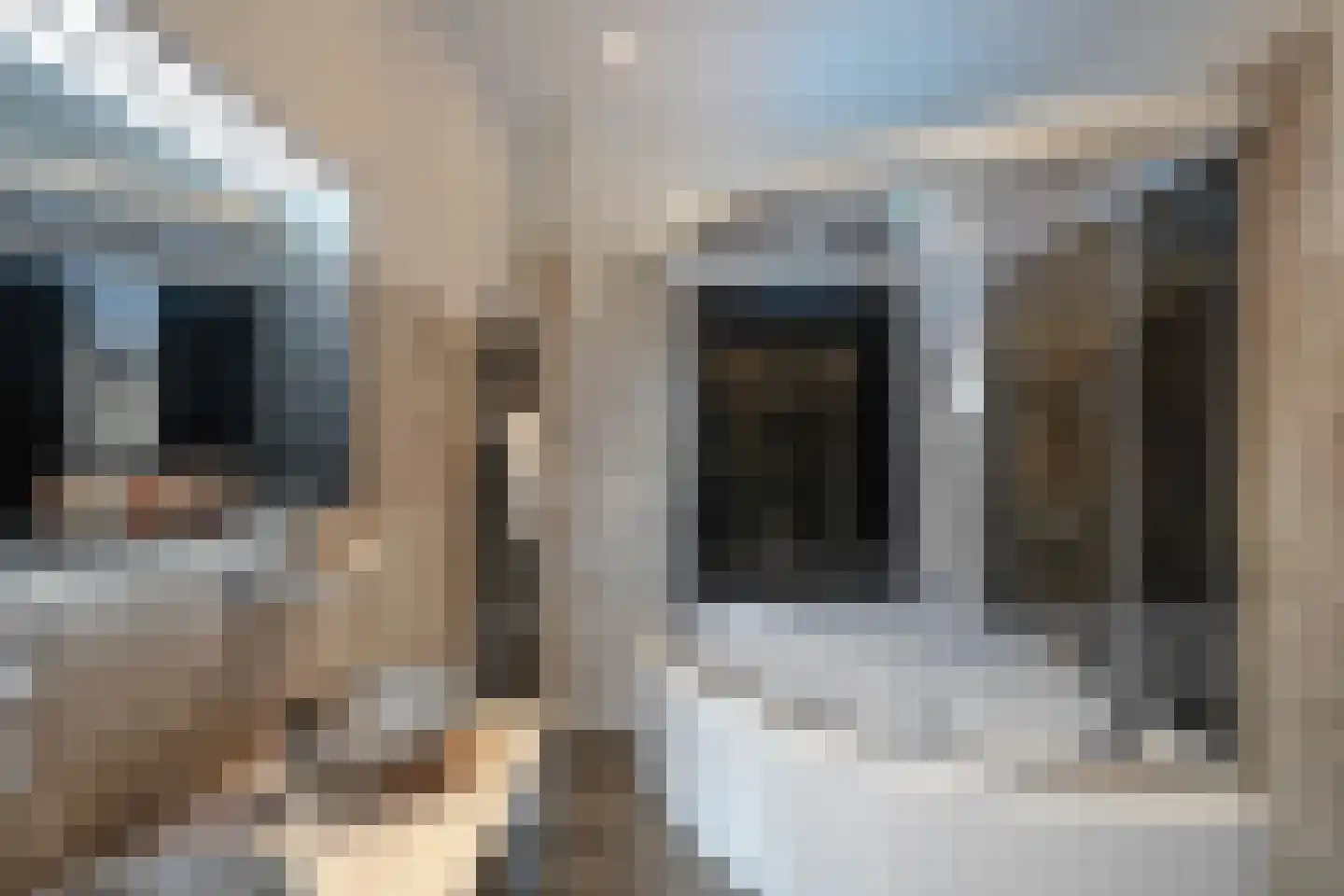Nieuwe Parklaan 75 Den Haag thumbnail 89