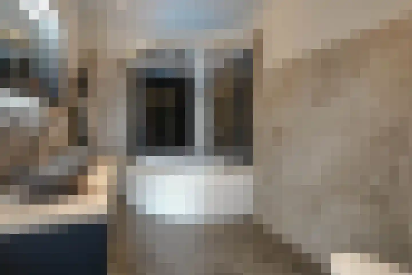 Nieuwe Parklaan 75 Den Haag thumbnail 91