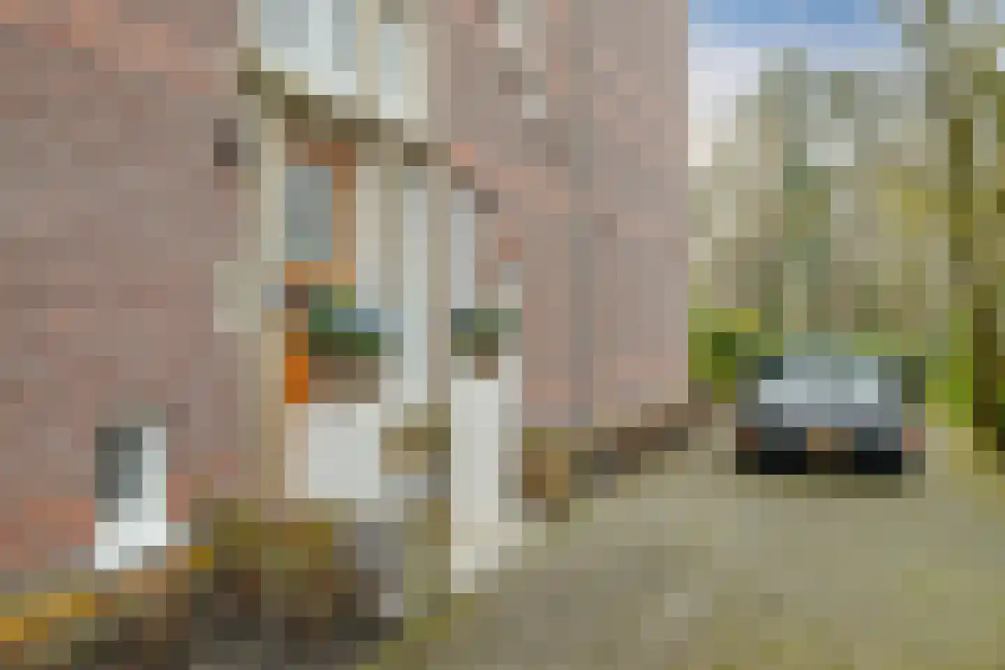 Nieuwe Parklaan 75 Den Haag thumbnail 95