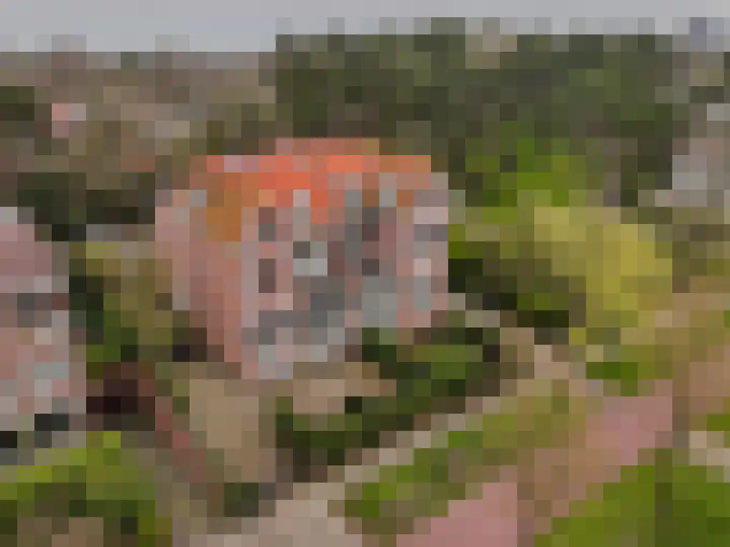 Nieuwe Parklaan 75 Den Haag thumbnail 98