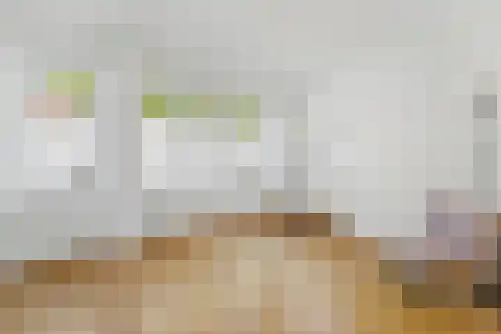 Nieuwe Parklaan 97 C Den Haag thumbnail 22