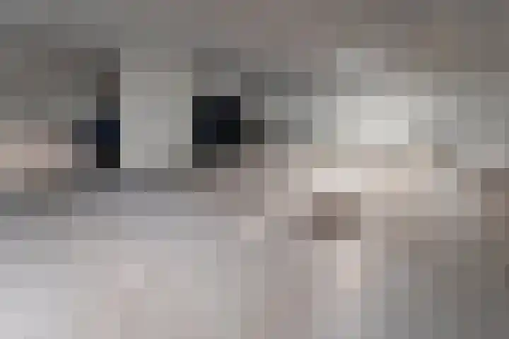 Nieuwe Parklaan 97 C Den Haag thumbnail 43