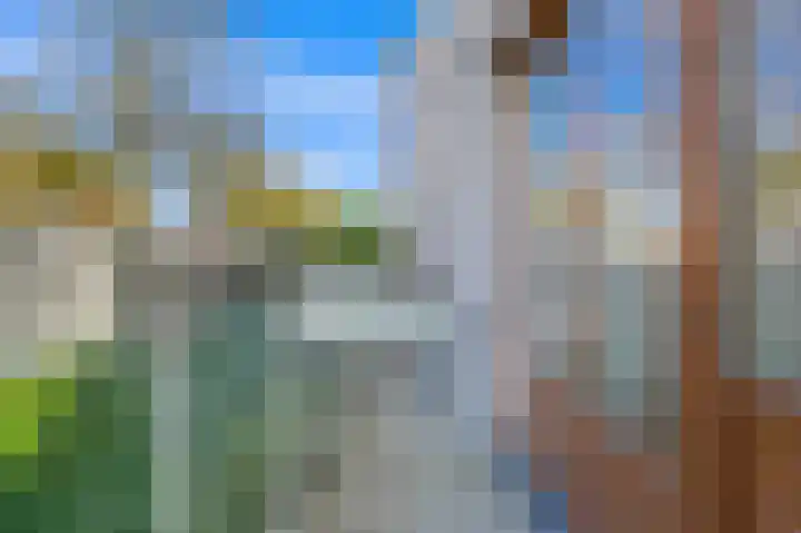 Nieuwe Parklaan 97 G Den Haag thumbnail 16