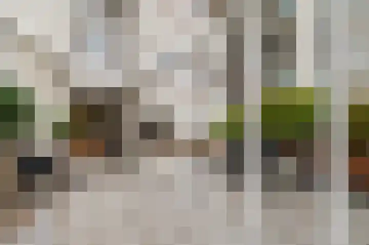 Nieuwe Parklaan 97 G Den Haag thumbnail 9