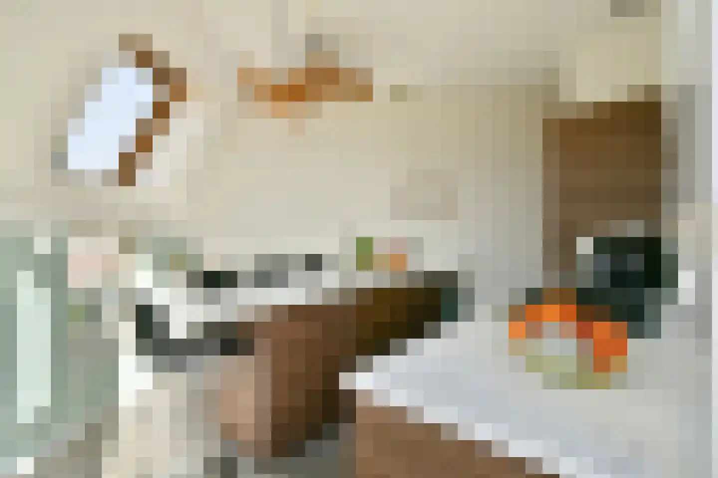 Nieuwe Pijlsweerdstraat 129 Utrecht thumbnail 16