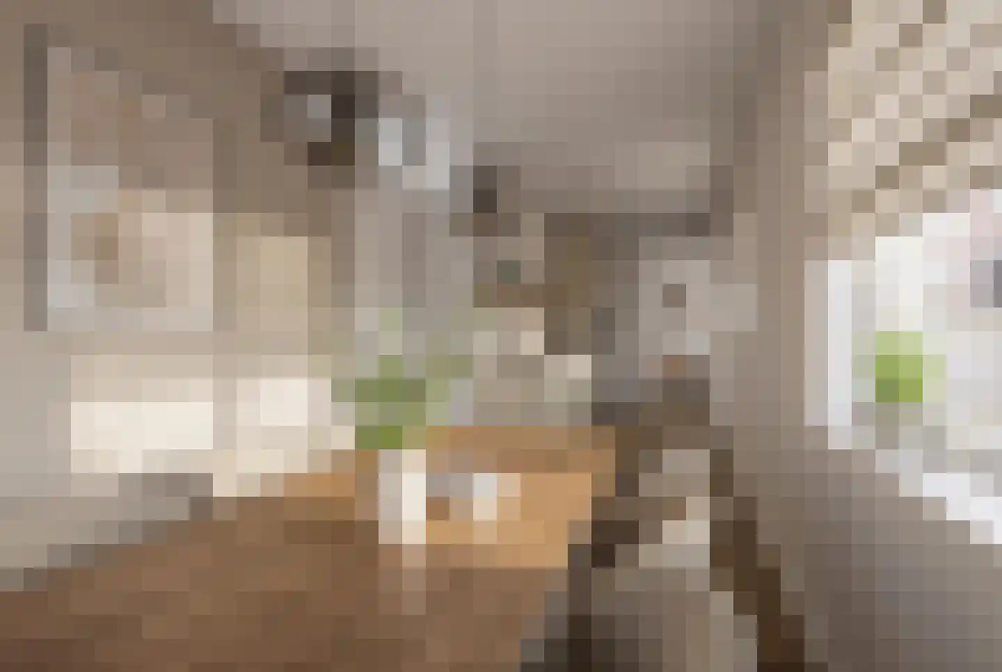 Nieuwe Pijlsweerdstraat 75 Utrecht thumbnail 12