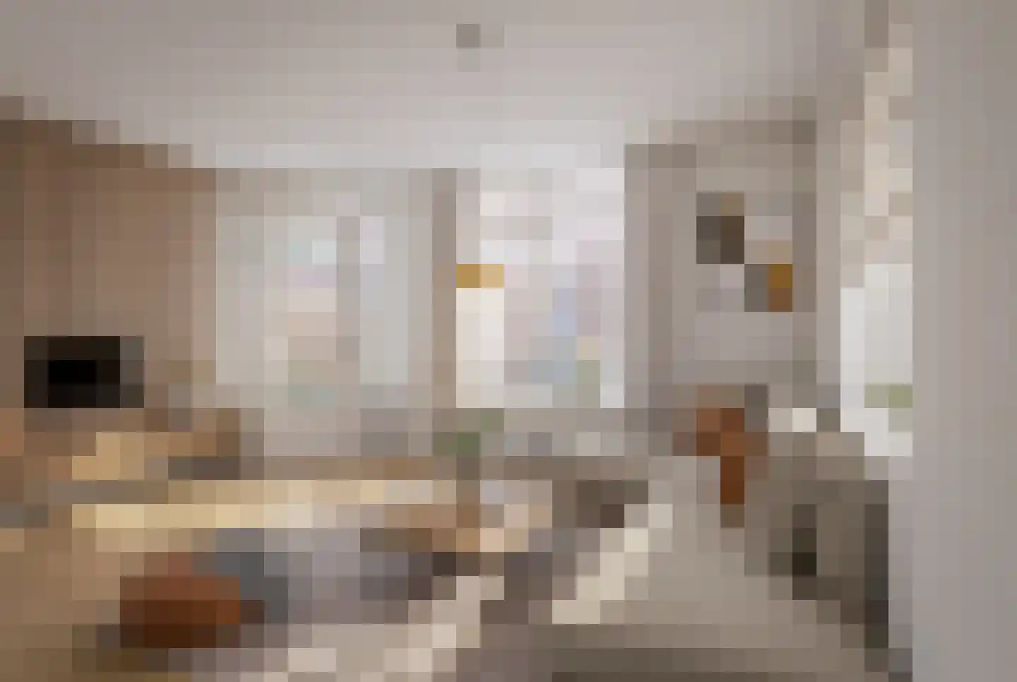 Nieuwe Pijlsweerdstraat 75 Utrecht thumbnail 6