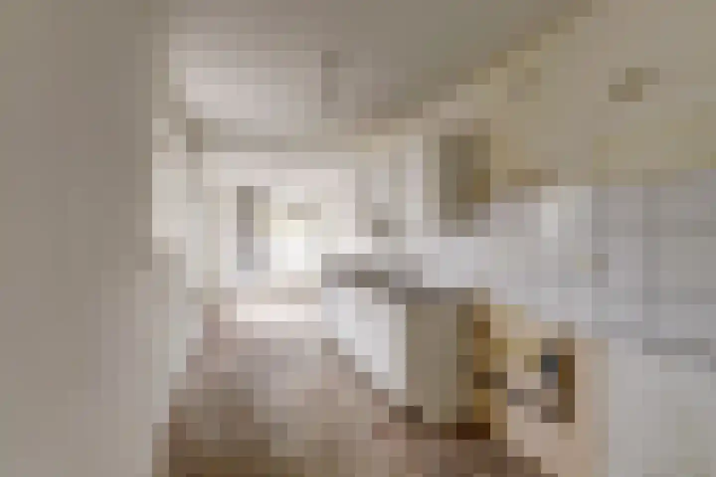 Nieuwe Pijlsweerdstraat 75 Utrecht thumbnail 8