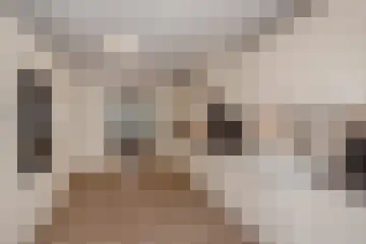 Nieuwe Plantage 102 Delft thumbnail 10