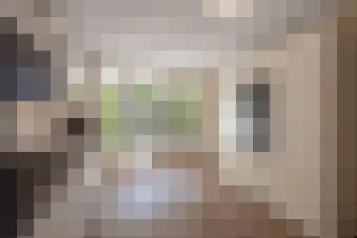 Nieuwe Plantage 102 Delft thumbnail 15