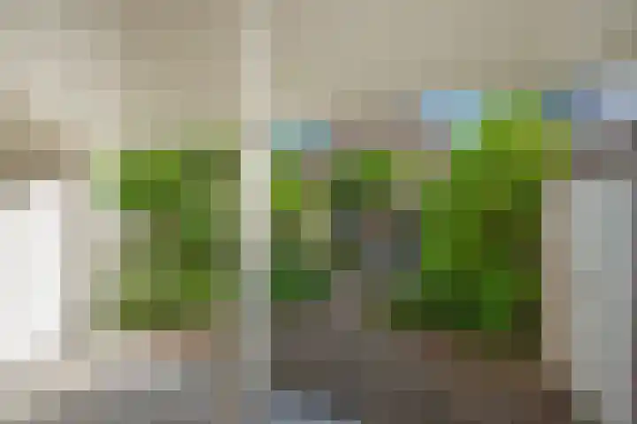 Nieuwe Plantage 102 Delft thumbnail 16