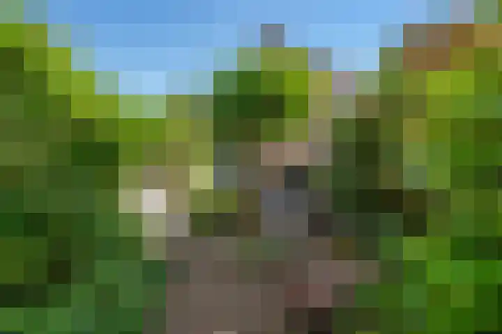 Nieuwe Plantage 102 Delft thumbnail 17