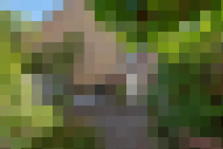 Nieuwe Plantage 102 Delft thumbnail 18