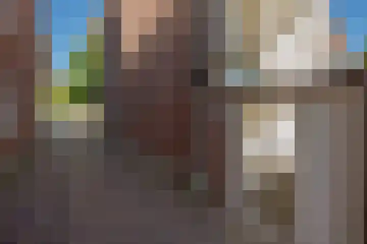 Nieuwe Plantage 102 Delft thumbnail 19