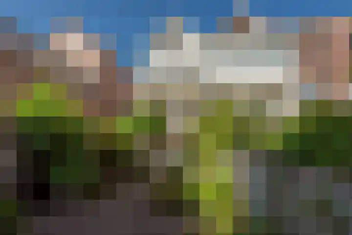 Nieuwe Plantage 102 Delft thumbnail 20