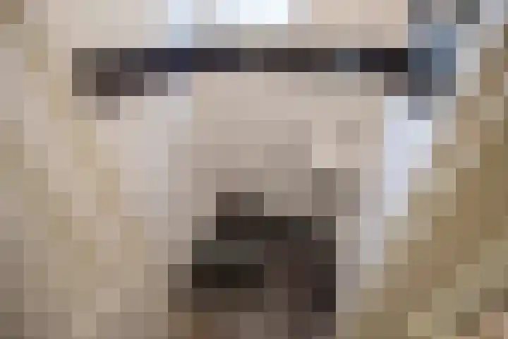 Nieuwe Plantage 102 Delft thumbnail 22