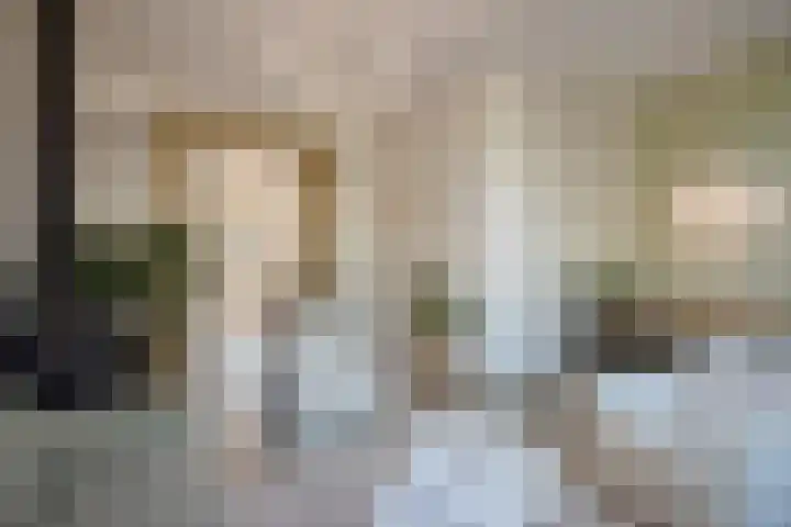 Nieuwe Plantage 102 Delft thumbnail 26
