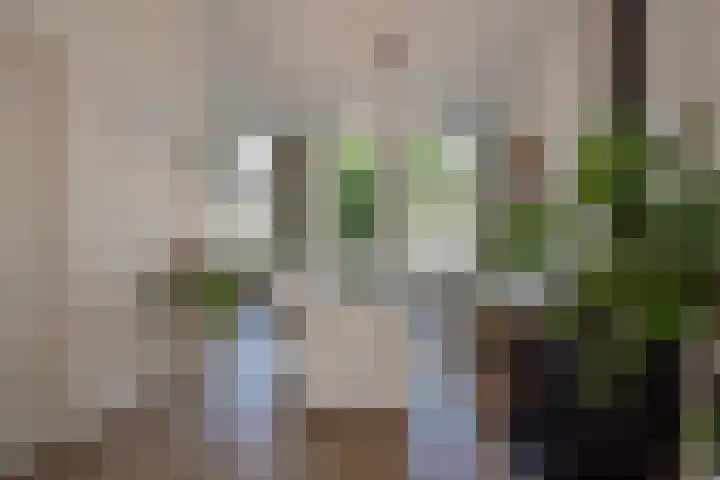 Nieuwe Plantage 102 Delft thumbnail 27