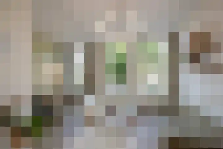 Nieuwe Plantage 102 Delft thumbnail 29