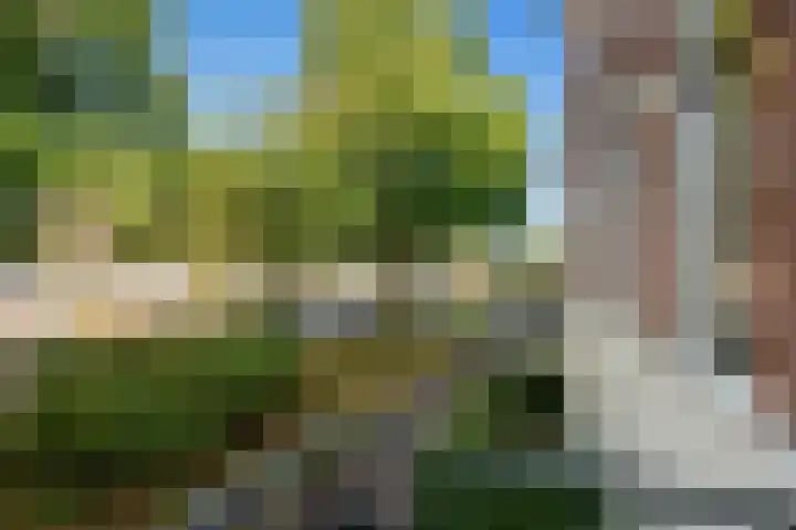 Nieuwe Plantage 102 Delft thumbnail 32