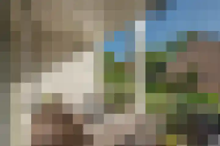 Nieuwe Plantage 102 Delft thumbnail 38