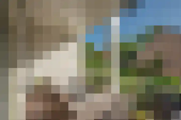 Nieuwe Plantage 102 Delft thumbnail 4