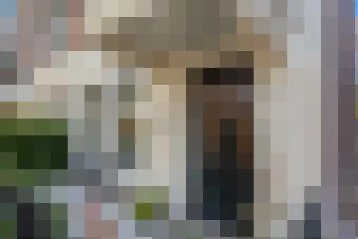 Nieuwe Plantage 102 Delft thumbnail 5