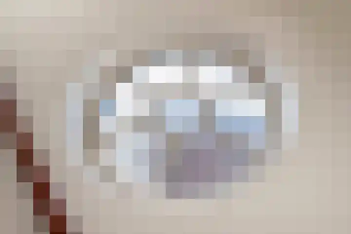 Nieuwe Plantage 102 Delft thumbnail 53