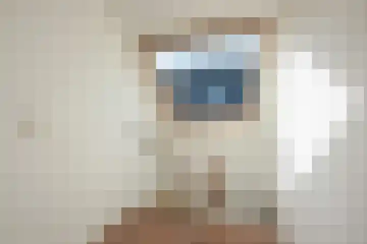 Nieuwe Plantage 102 Delft thumbnail 54