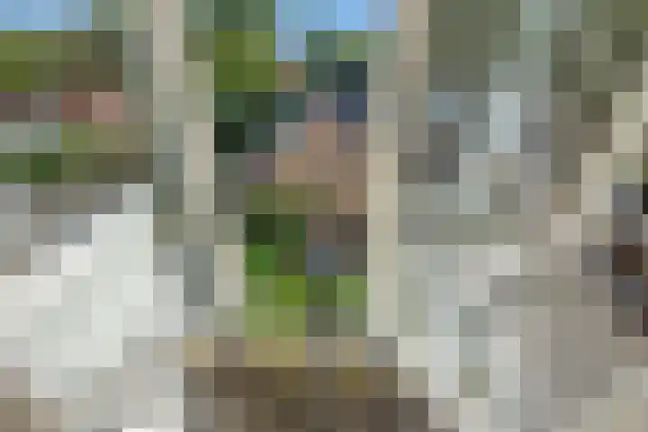 Nieuwe Plantage 102 Delft thumbnail 58