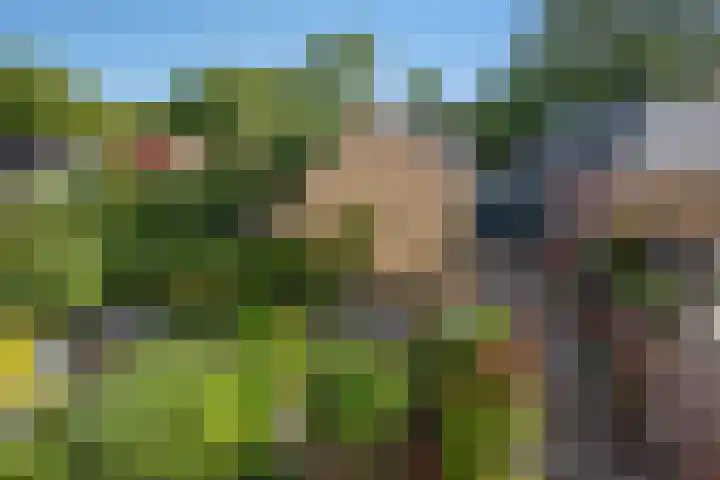 Nieuwe Plantage 102 Delft thumbnail 59