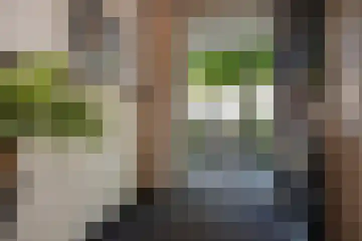 Nieuwe Plantage 102 Delft thumbnail 6