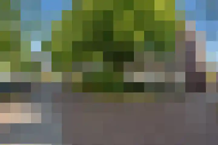 Nieuwe Plantage 102 Delft thumbnail 64