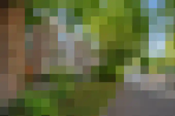 Nieuwe Plantage 102 Delft thumbnail 66