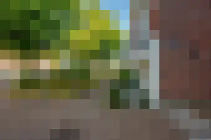 Nieuwe Plantage 102 Delft thumbnail 67