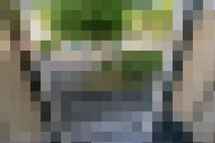 Nieuwe Plantage 102 Delft thumbnail 71