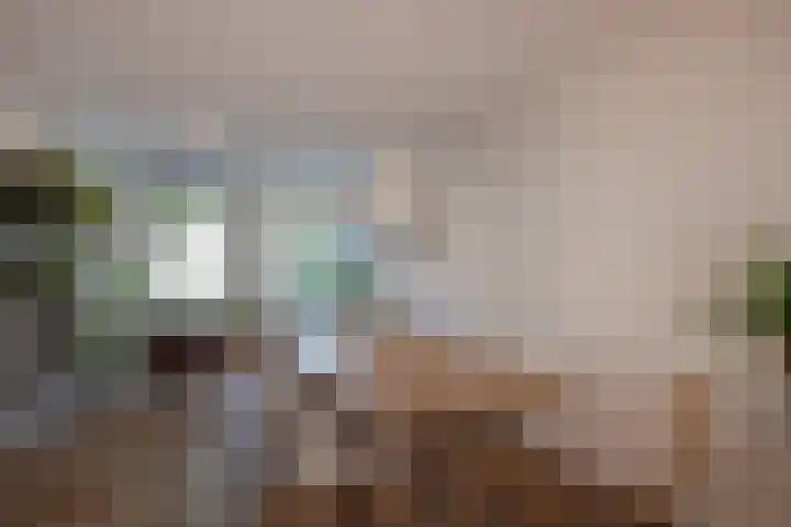 Nieuwe Plantage 102 Delft thumbnail 8