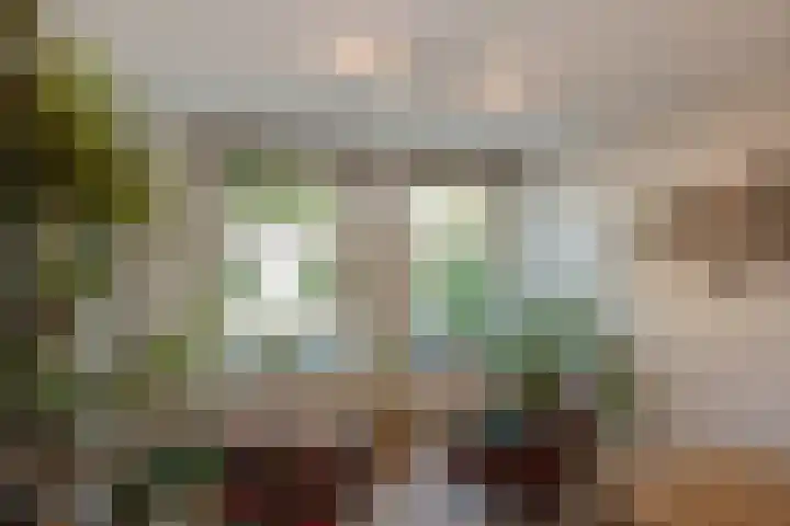 Nieuwe Plantage 102 Delft thumbnail 9