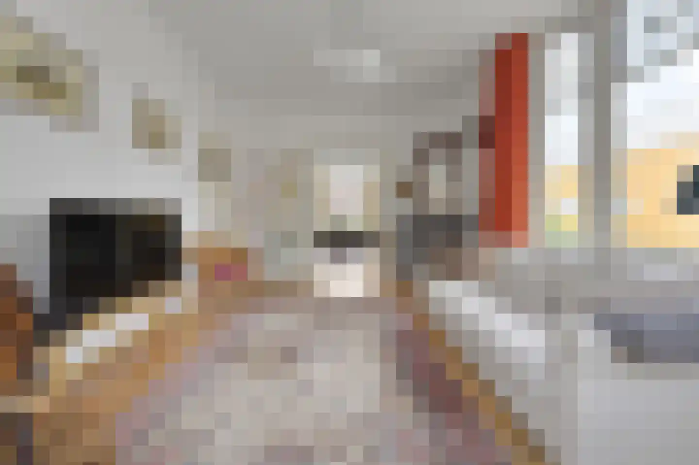Nieuwe Plantage 108 Delft thumbnail 17