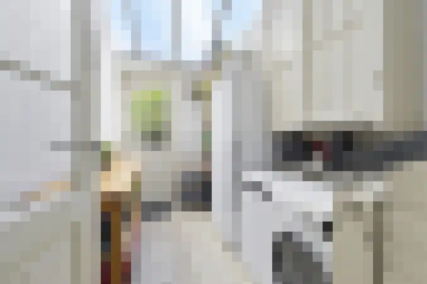 Nieuwe Plantage 108 Delft thumbnail 24