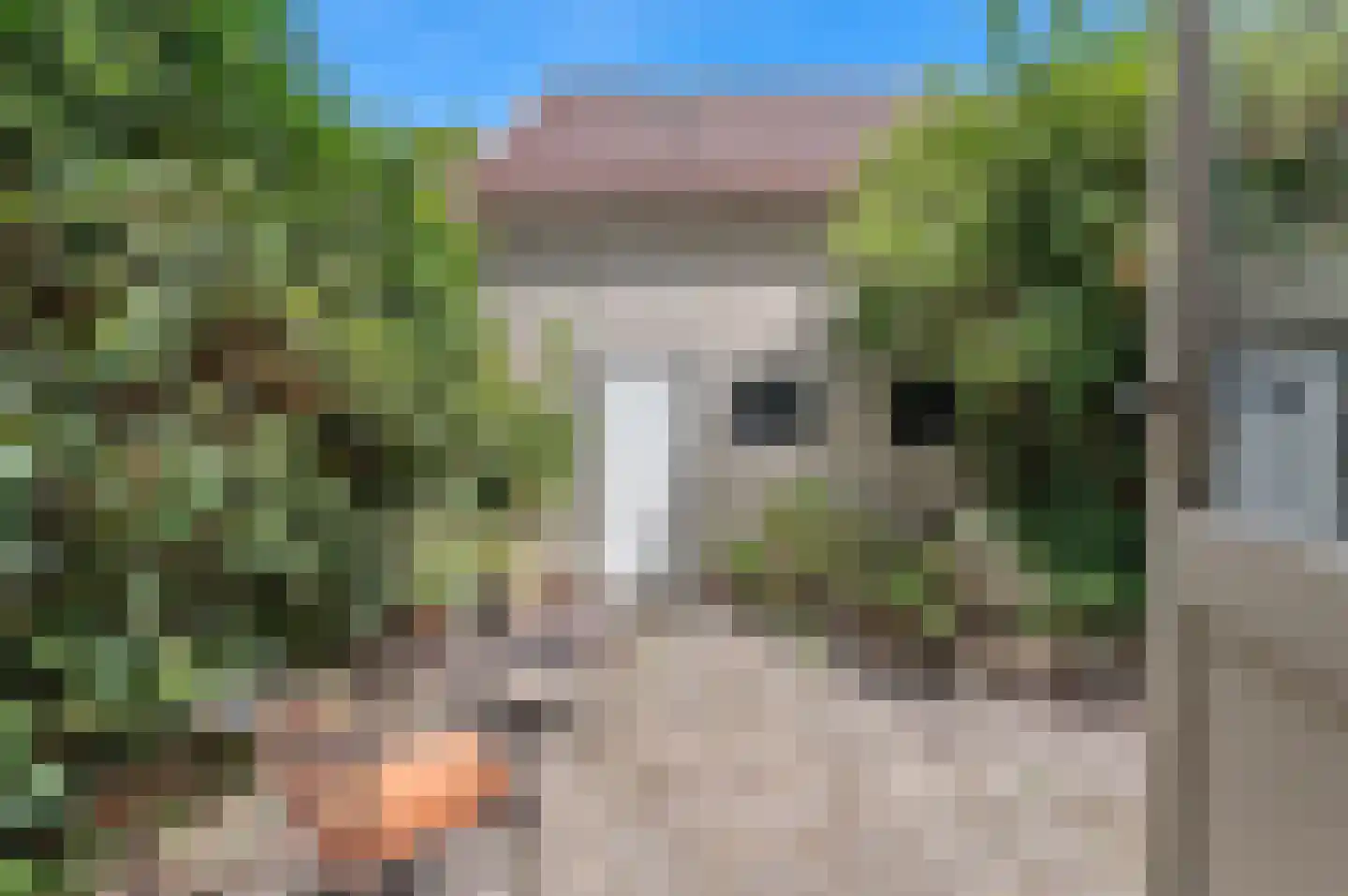 Nieuwe Plantage 108 Delft thumbnail 25