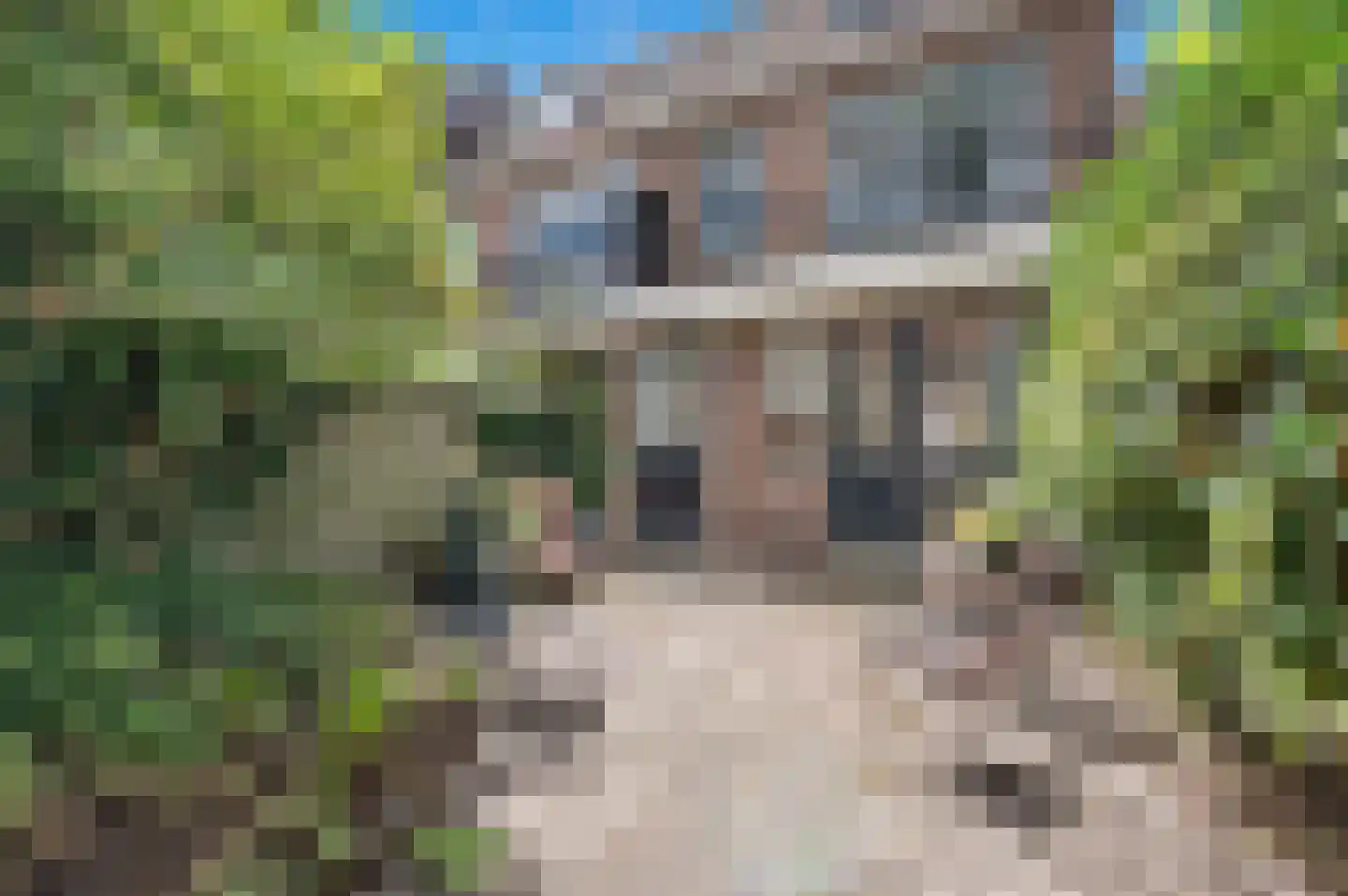 Nieuwe Plantage 108 Delft thumbnail 27